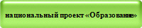 национальный проект «Образование»