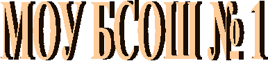 МБОУ БСОШ № 1